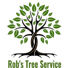 Orange Tree Services Logo